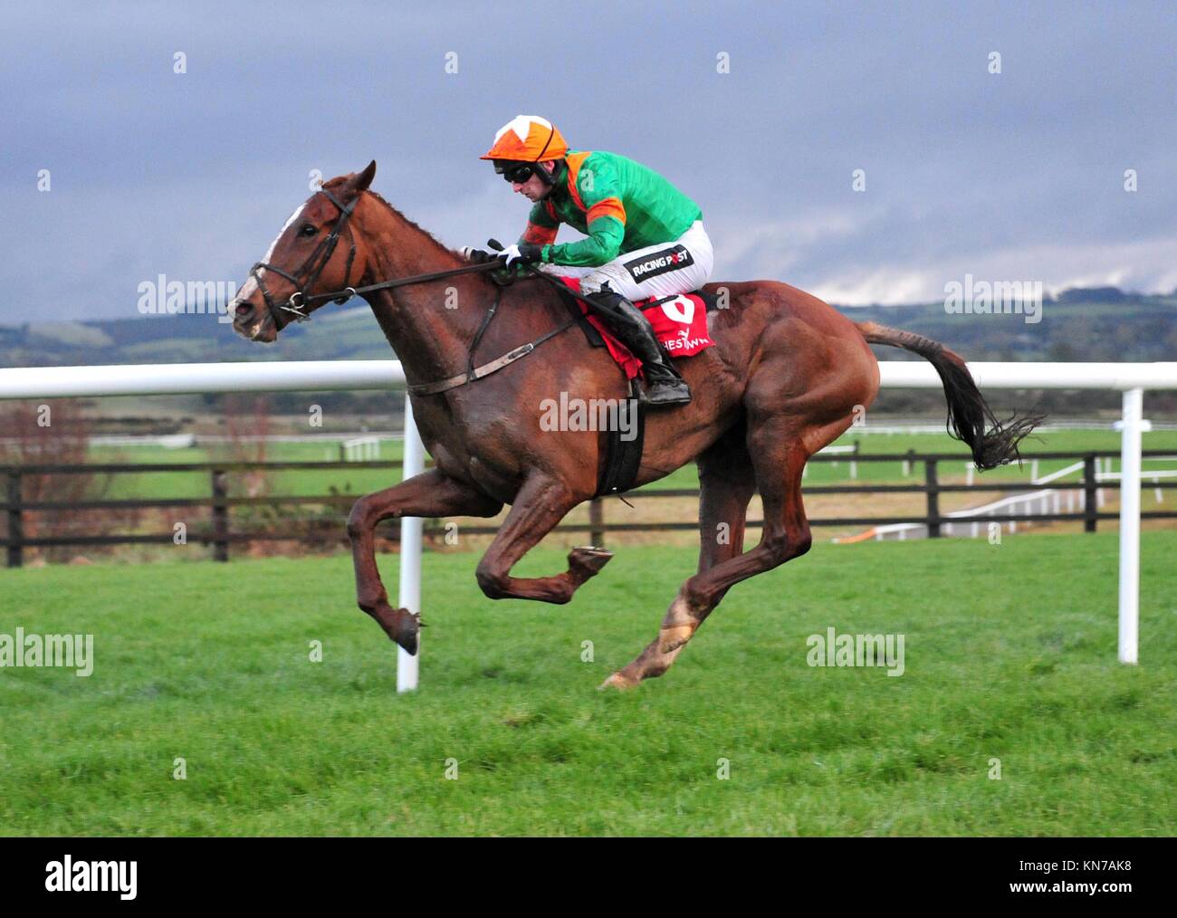 Hollowgraphic cavalcato da fantino Patrick Mullins vincere la vecchia casa uccidere gara piatta a Punchestown Racecourse, Naas. Foto Stock