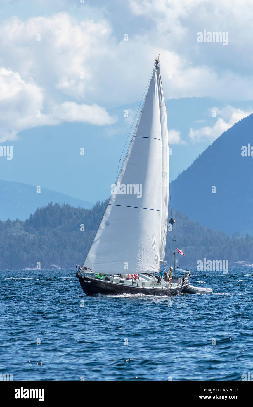Un uomo vestito per il periodo estivo è al timone di un canadese yacht a vela in stretto Malaspina, vicino a Powell River, British Columbia/ Foto Stock