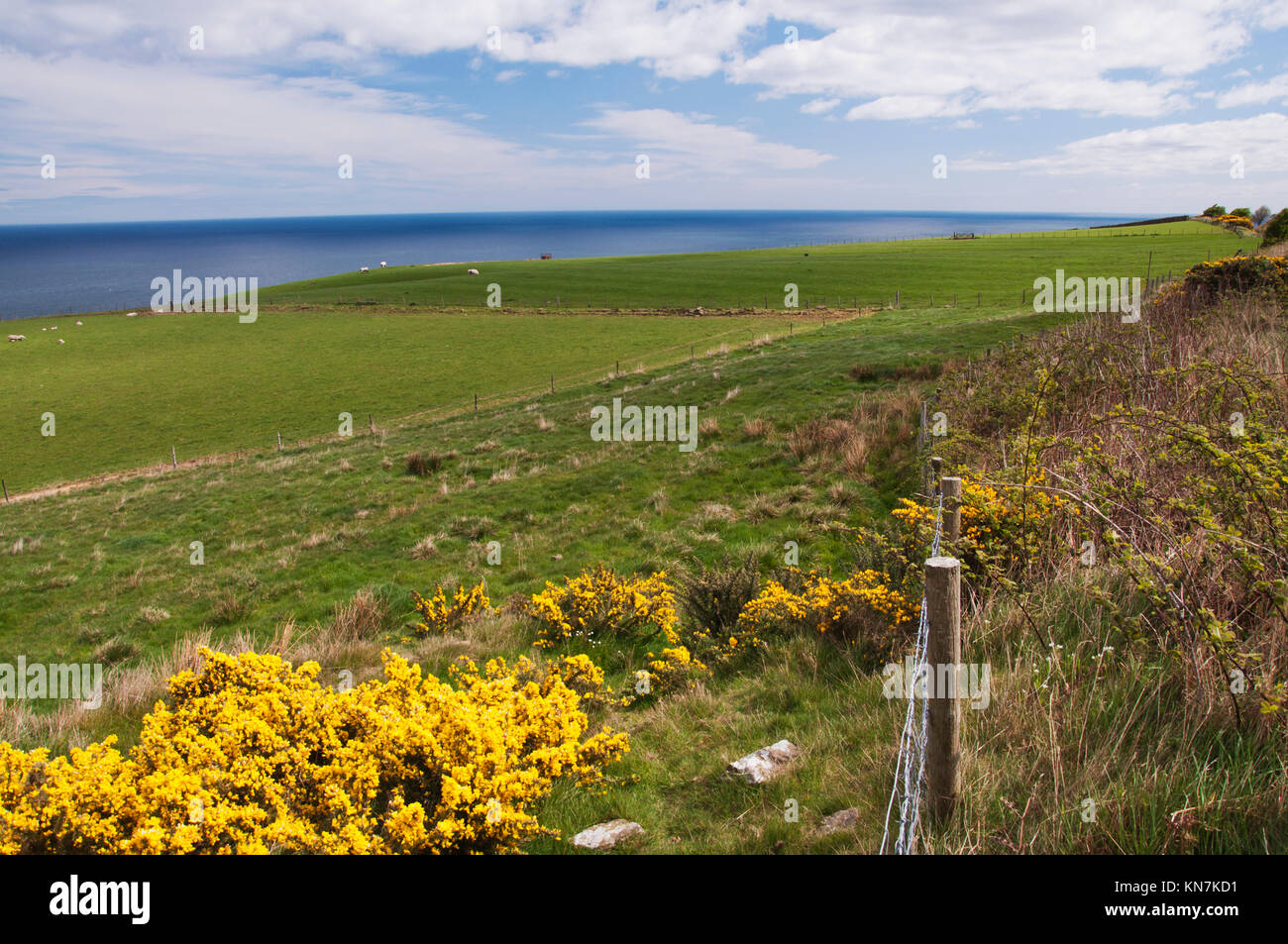 Vista dalla traccia di cenere dal vicino a fondo Hawsker sulla costa est del North Yorkshire, situato tra Whitby e Robin cappe Bay. Foto Stock