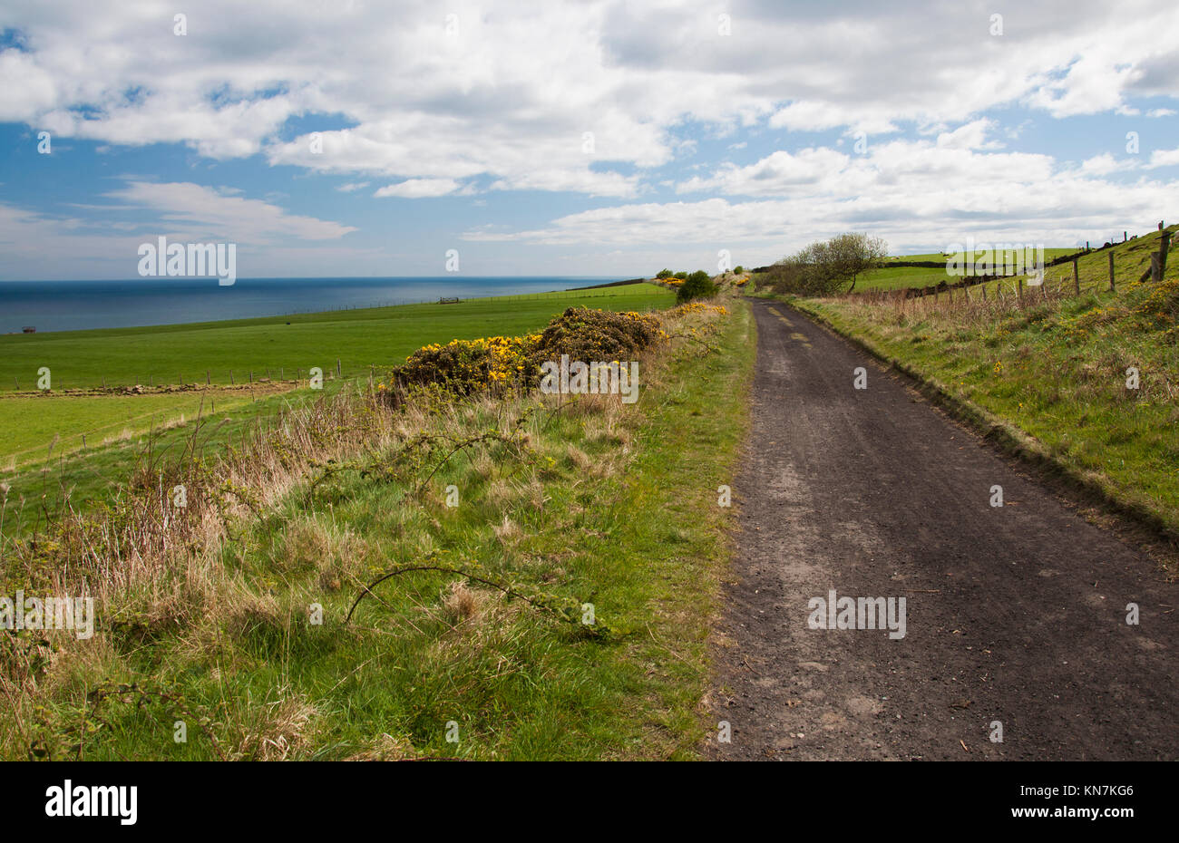 Vista dalla traccia di cenere dal vicino a fondo Hawsker sulla costa est del North Yorkshire, situato tra Whitby e Robin cappe Bay. Foto Stock