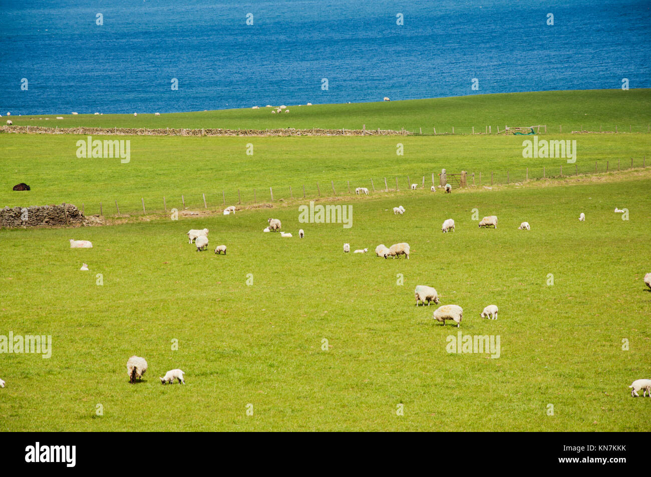 Vista dalla traccia di cenere dal vicino a fondo Hawsker sulla costa est del North Yorkshire, situato tra Whitby e Robin cappe Bay. Foto Stock