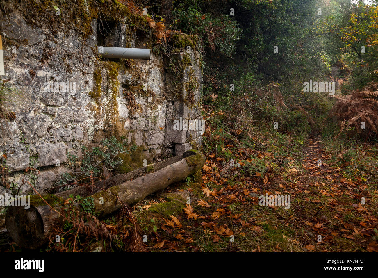 Vecchio, abbandonato lodge nel profondo della foresta. Foto Stock