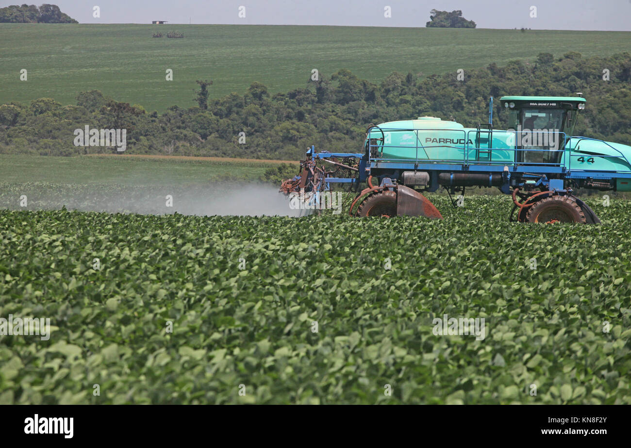 CAMPO MOURÃO, PR - 11.12.2017: PRODUTORES PULVERIZAM SOJA NO PARANÁ - agricoltori rurali nel campo Mourão, nel Midwest del Paraná, stanno approfittando dei giorni senza umidità e pioggia, per il controllo di malattie e parassiti in agricoltura di semi di soia. Gli agricoltori sono ottimisti per quanto riguarda la previsione di un super-raccolto di semi oleosi. Nella foto, trattore rende l'applicazione di pesticidi nelle colture per la lotta contro i parassiti e le malattie. (Foto: Dirceu Portogallo/Fotoarena) Foto Stock