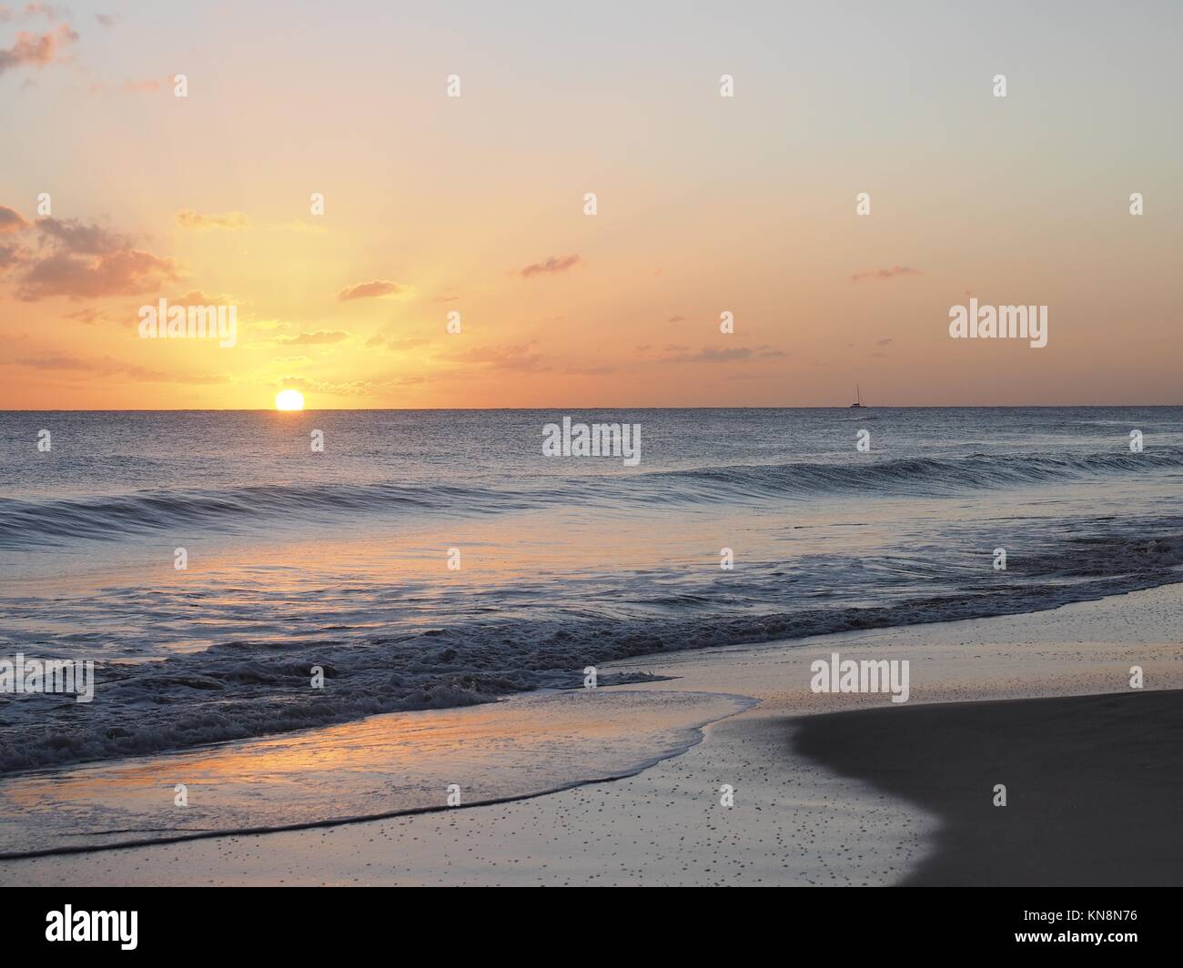 Salines Spiaggia A Sainte Anne In Martinica Nei Caraibi è