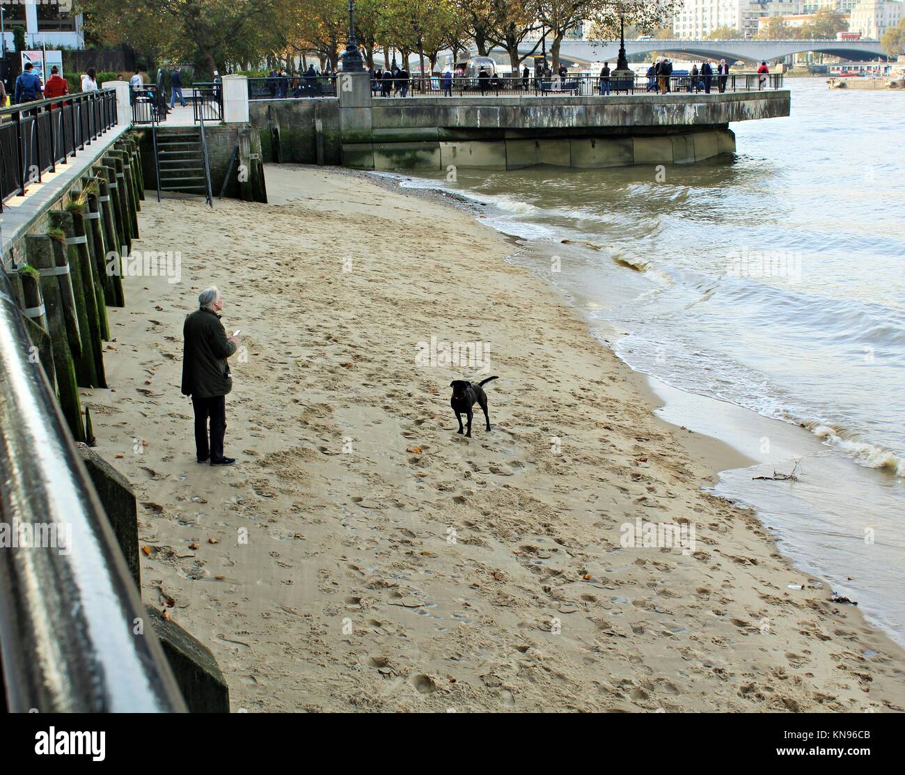 Uomo e cane sulla sabbia al South Bank di Londra. Foto Stock