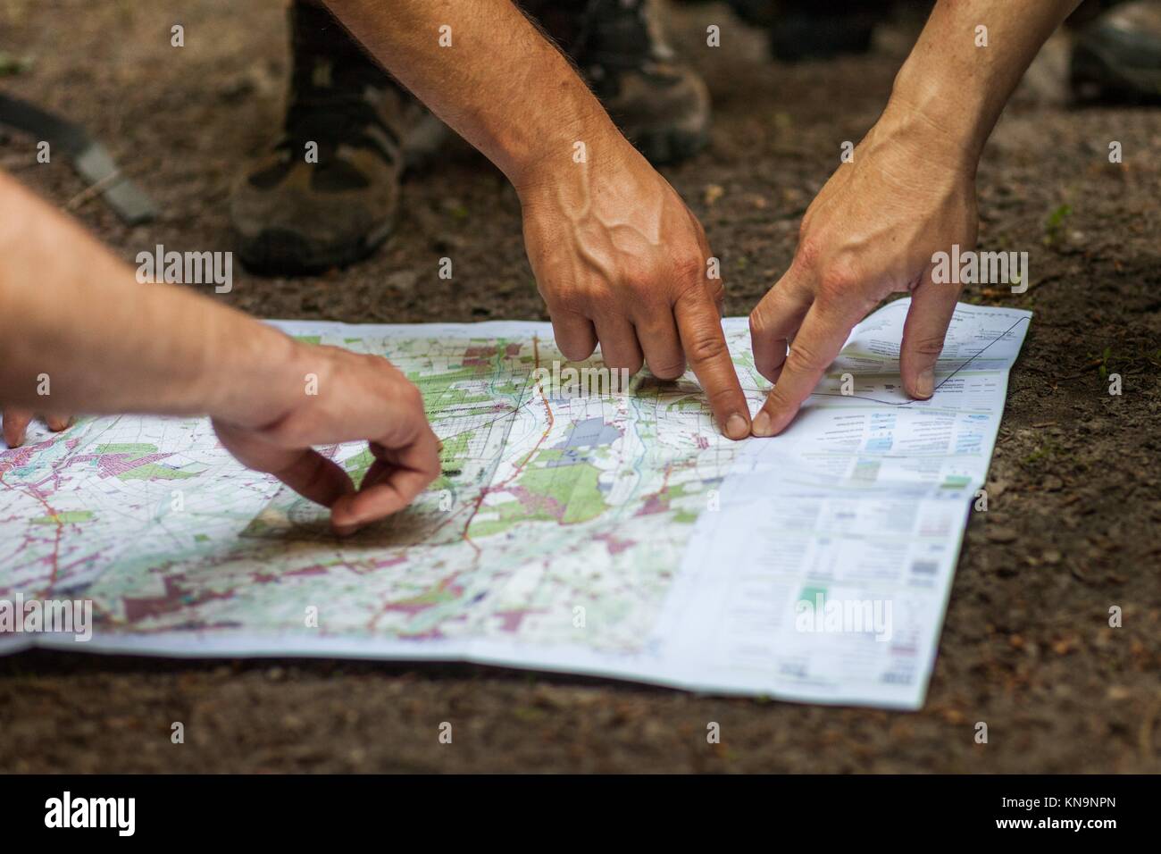 Un gruppo di escursionisti utilizza la mappa e la bussola per navigare attraverso la foresta. Foto Stock
