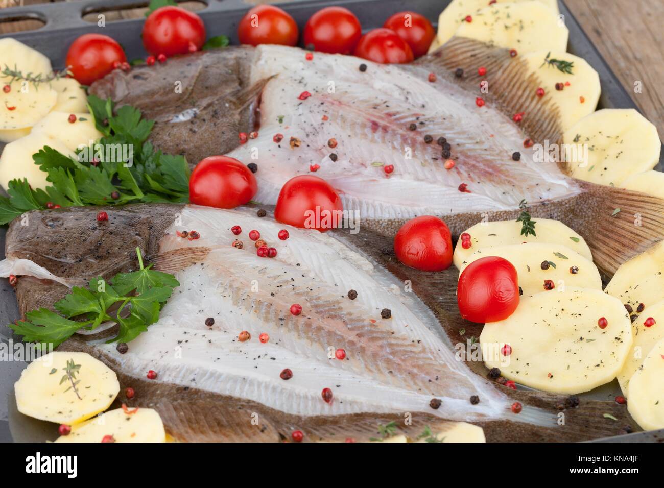 Pesce Rombo Immagini E Fotos Stock Alamy