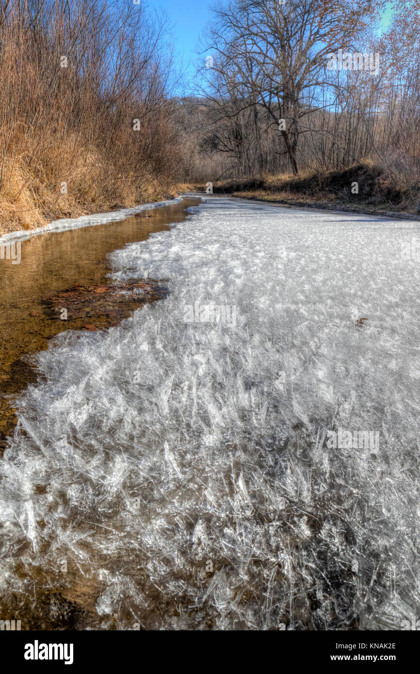 Foresta di congelamento del flusso in battute del parco statale, Iowa, USA. Foto Stock