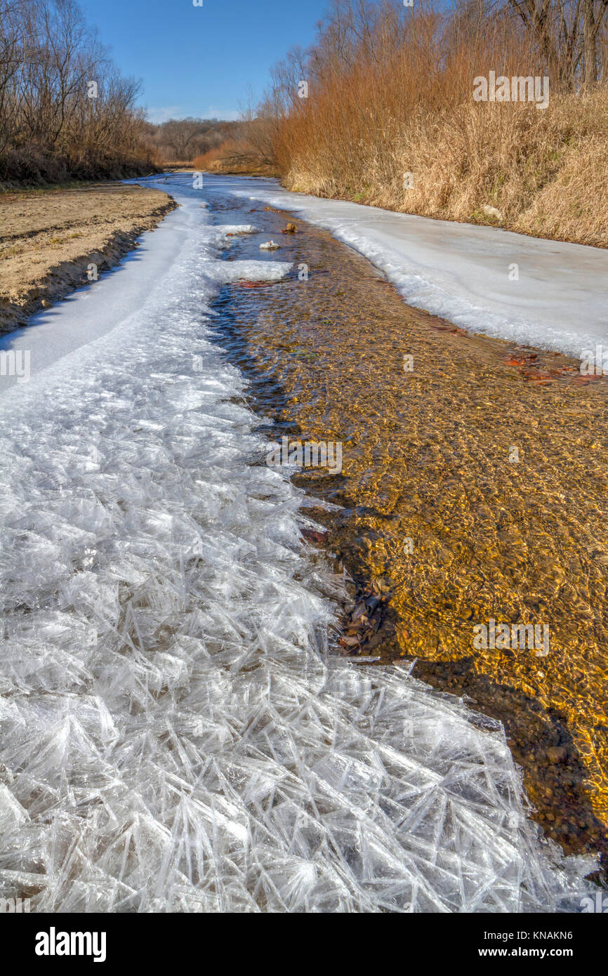 Foresta di congelamento del flusso in battute del parco statale, Iowa, USA. Foto Stock