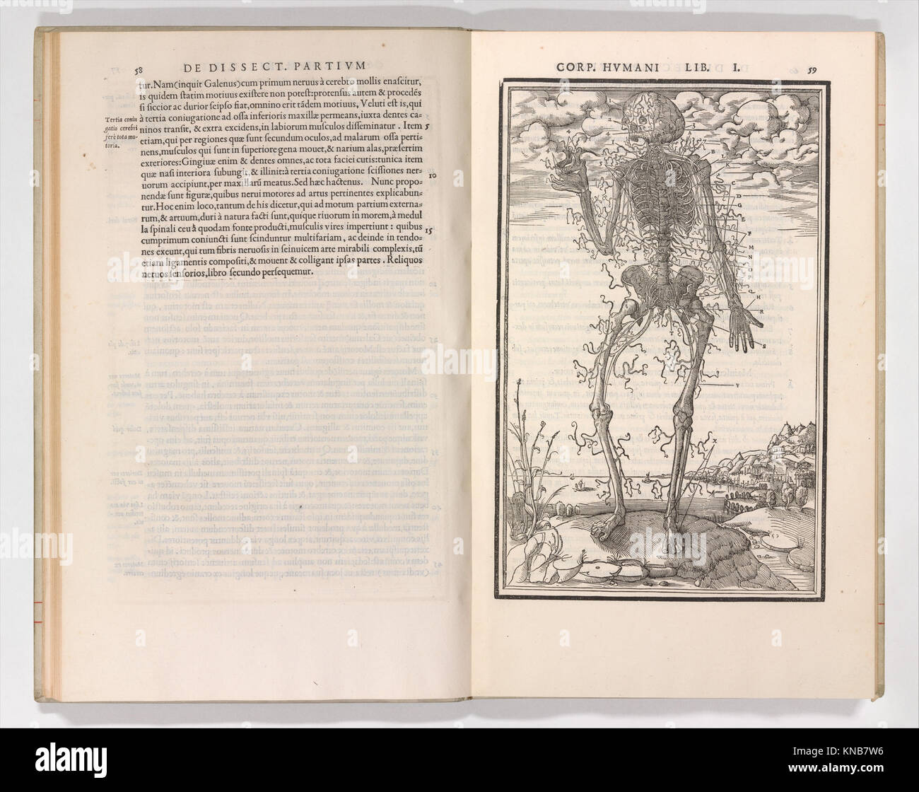 Un testo medico rinascimentale che descrive l'anatomia umana e lo studio delle parti del corpo, illustrando gli approcci scientifici all'anatomia. Foto Stock