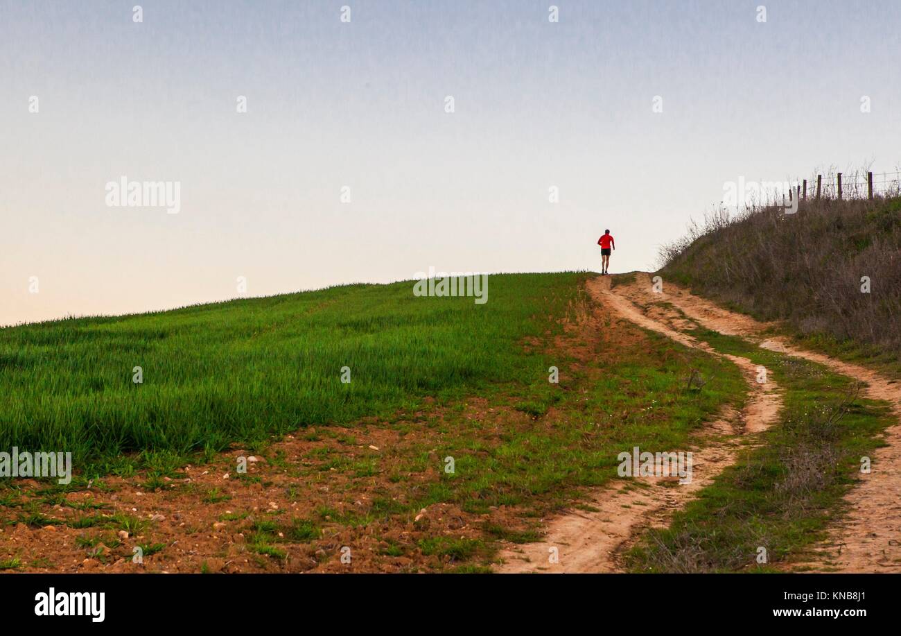 Uomo che corre in salita attraverso il verde campo di cereali al tramonto, Estremadura, Spagna. Foto Stock
