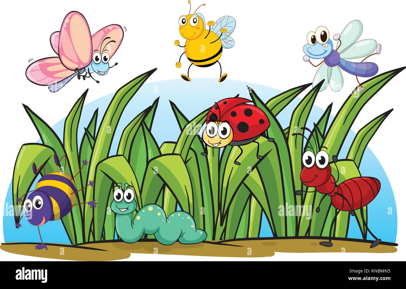 Illustrazione di vari insetti ed erba su sfondo bianco Illustrazione Vettoriale