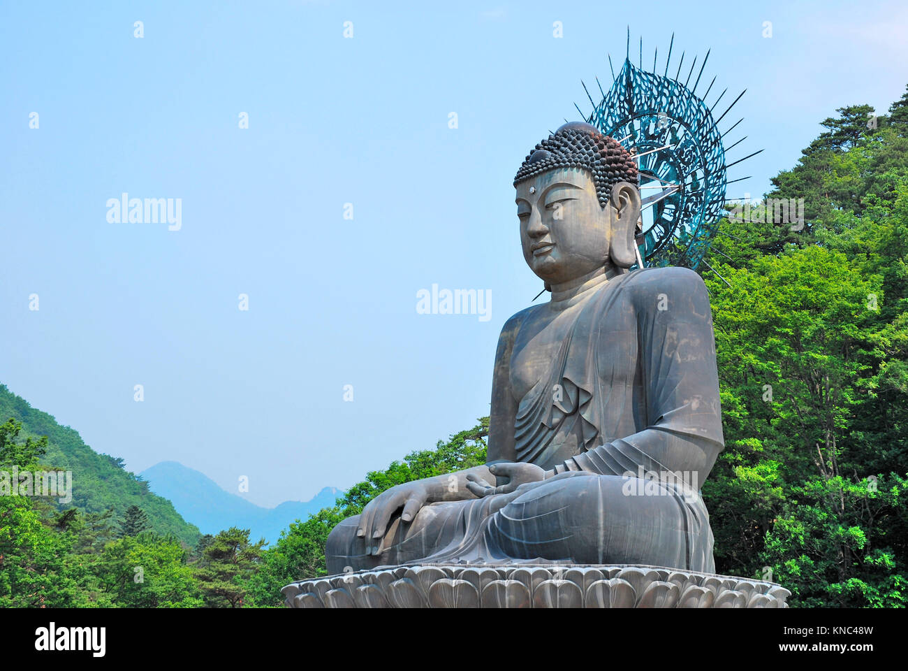 Vista della maestosa, bronzo statua del Buddha. Un simbolo di religione, di fede, di speranza e di pace. Foto Stock