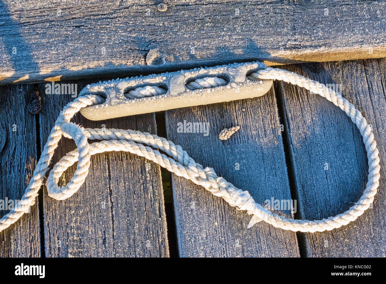 Cima nautica con anello in corrispondenza di una estremità ed un espansore o tampone ad esso collegato, giacente su di un gelido molo in legno. Foto Stock