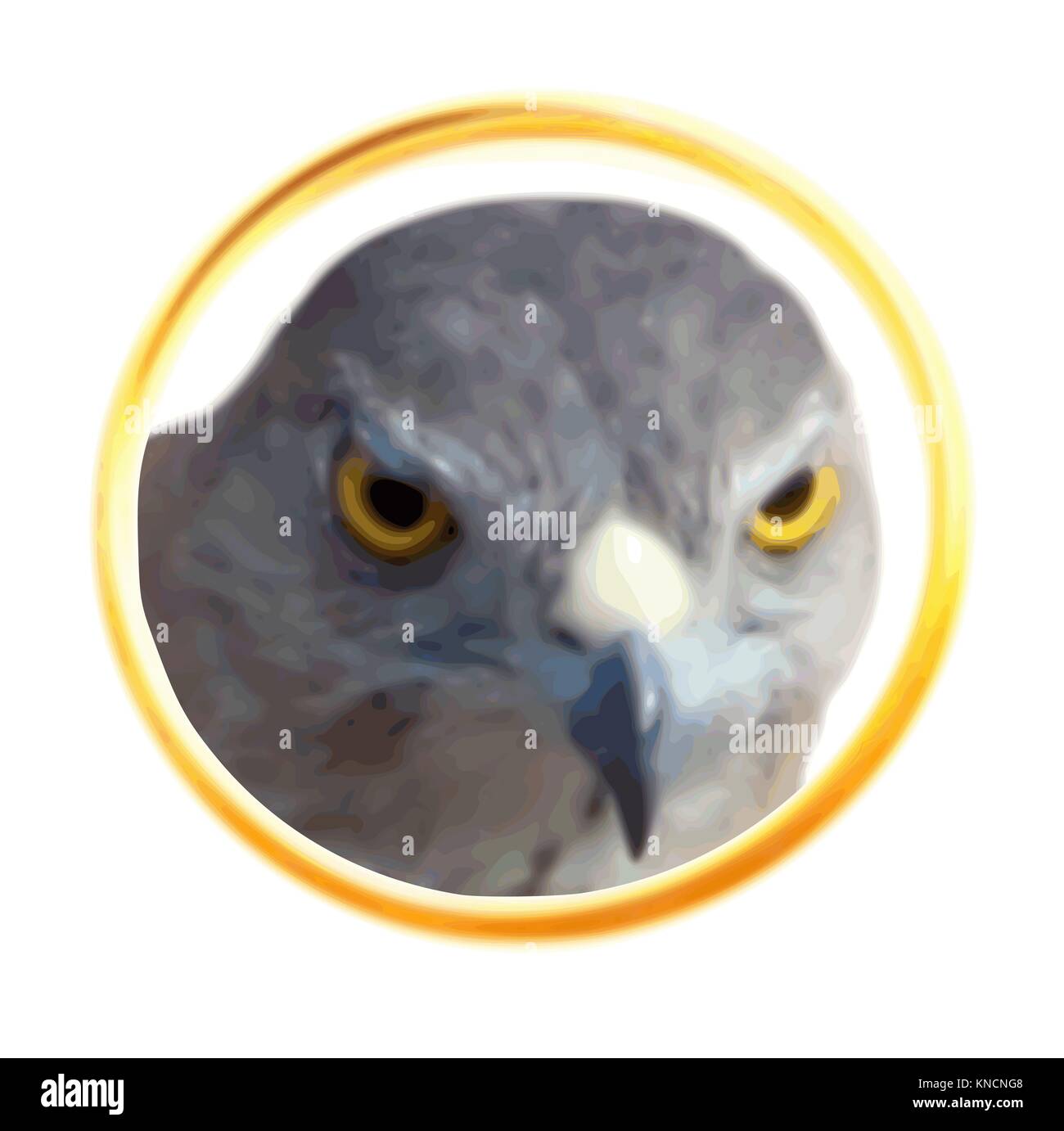 Hawk affacciato dal golden ring vettore icona web illustrazione Illustrazione Vettoriale