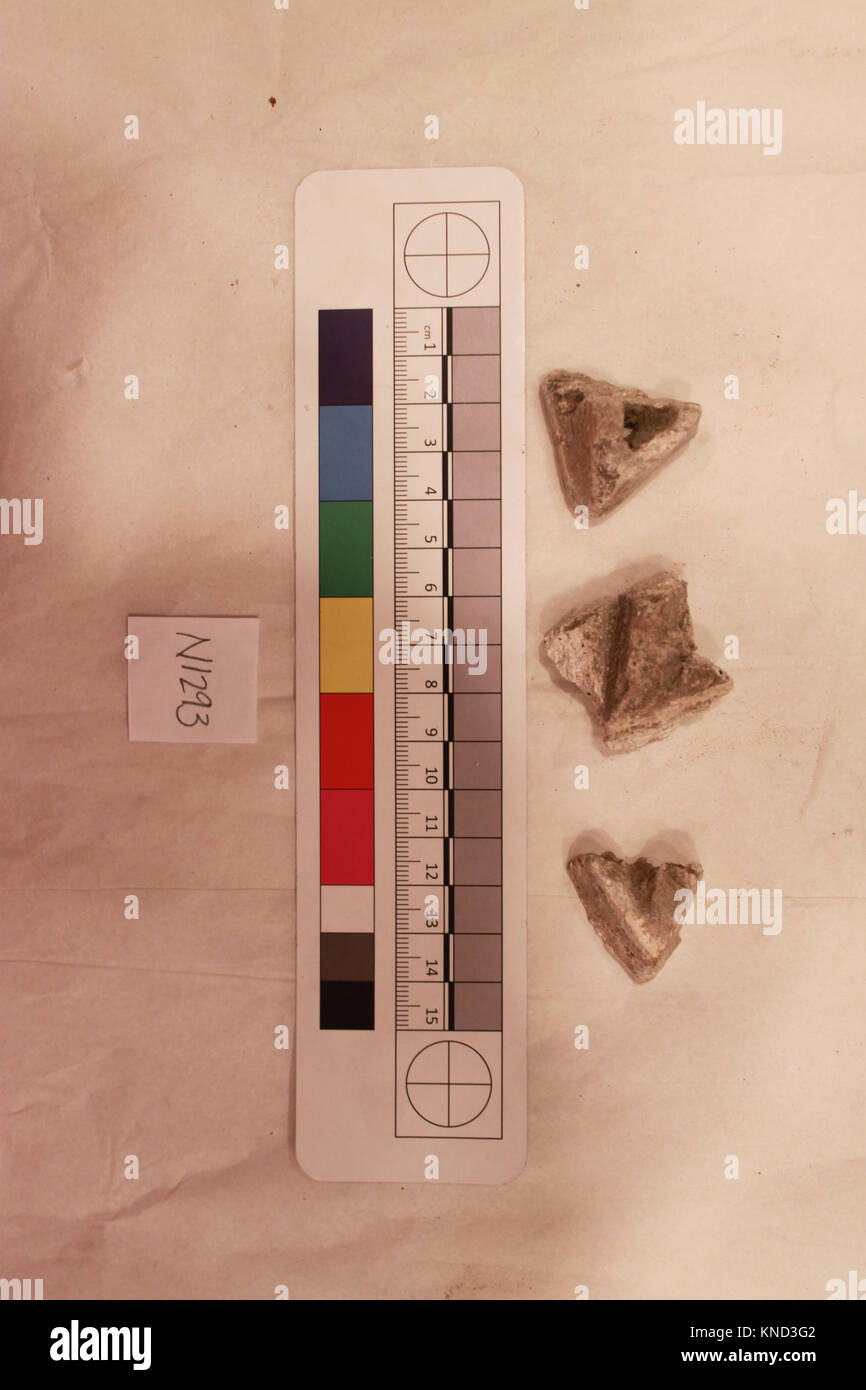 Questo frammento non identificato nella collezione MET manca di un mezzo o di dimensioni specifiche, ma contribuisce a comprendere il materiale, il contesto e la conservazione storica. Foto Stock