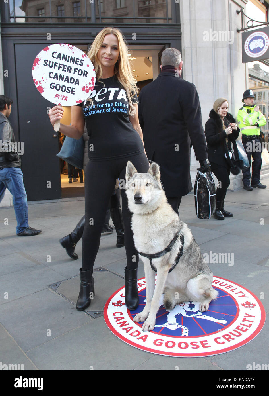 Londra, Regno Unito. 8 dicembre, 2017. Anneka Svenska e il suo compagno canino protesta al di fuori del Canada Goose flagship store in Regent Street per la PETA ha Campagna per porre fine alla cattura e uccisione di Coyote per Fur-Trimmed Cappotti Foto Stock