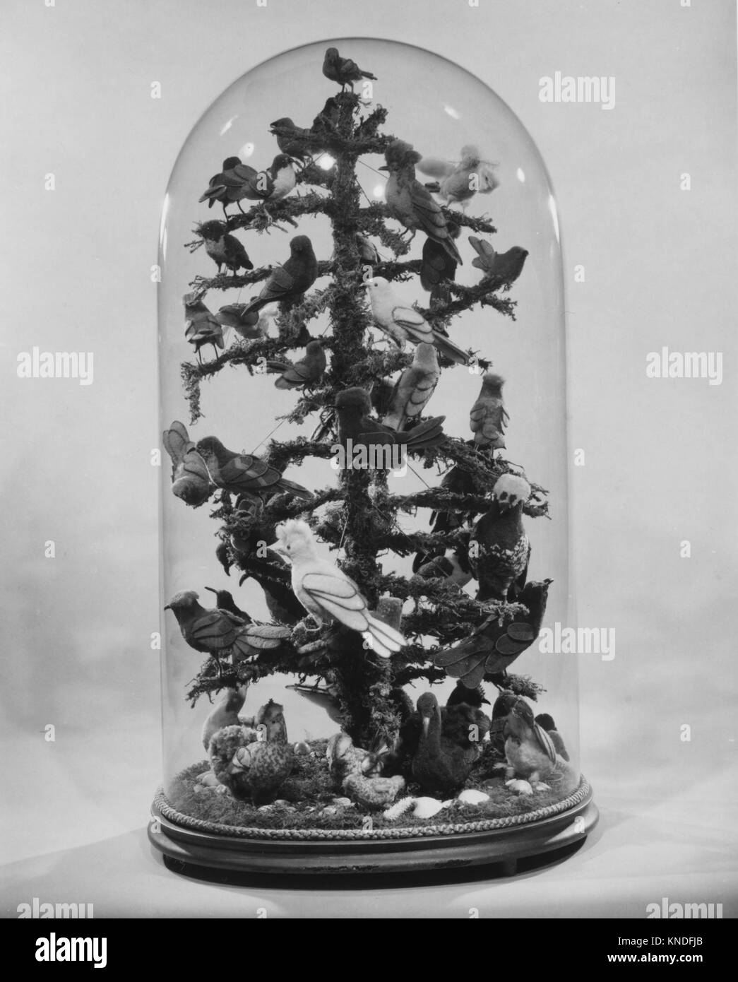 Questa voliera, 1850–1860, fatta di lana, ramoscelli, muschio, ottone e vetro, esemplificano l'artigianato decorativo della gabbia degli uccelli e l'arte del xix secolo. Foto Stock