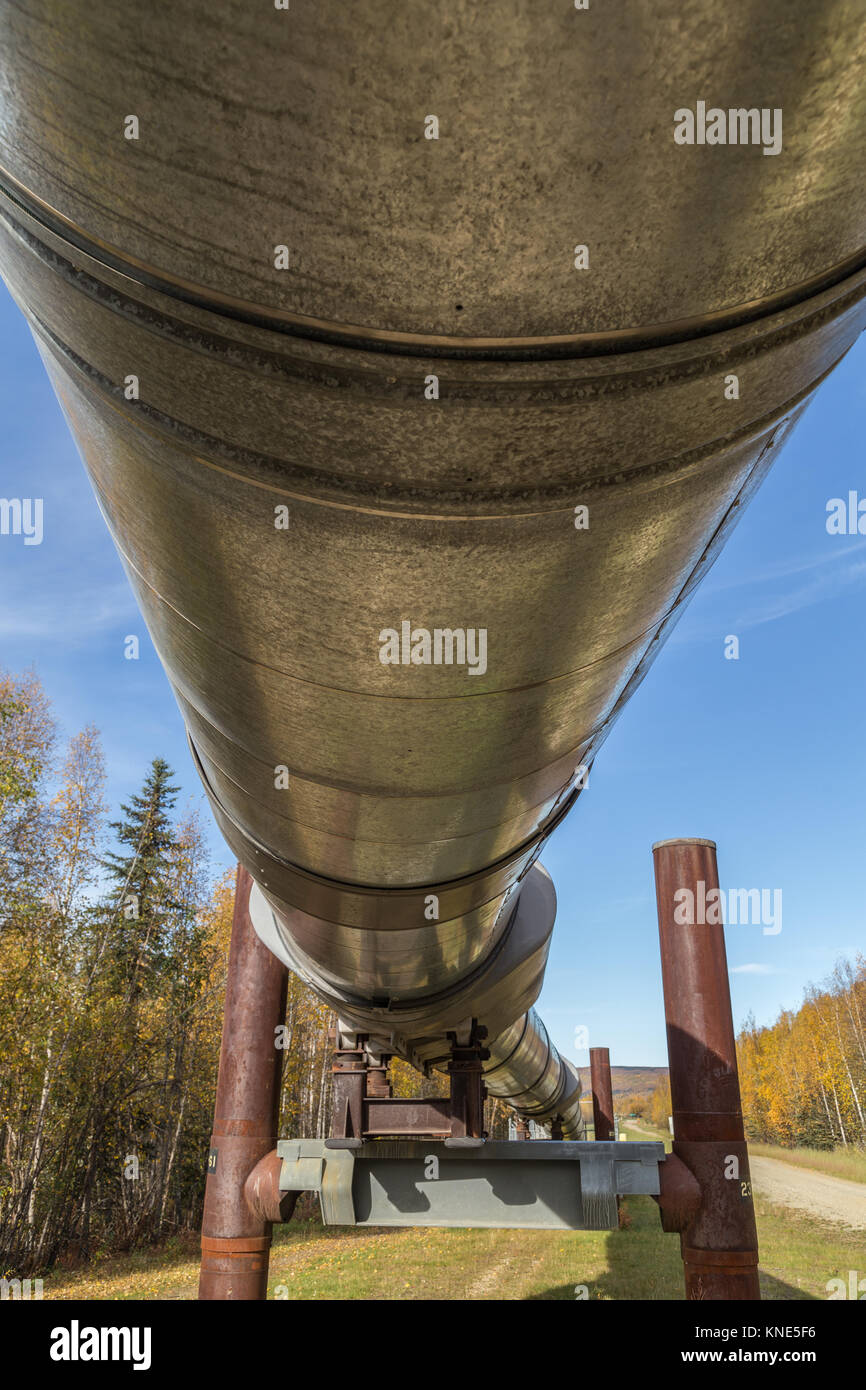 Il Trans-Alaska Pipeline System (TAPS) chiamato anche la pipeline Aleyska trasporta l'olio 800 miglia da Prudhoe Bay a Valdez in Alaska, STATI UNITI D'AMERICA Foto Stock