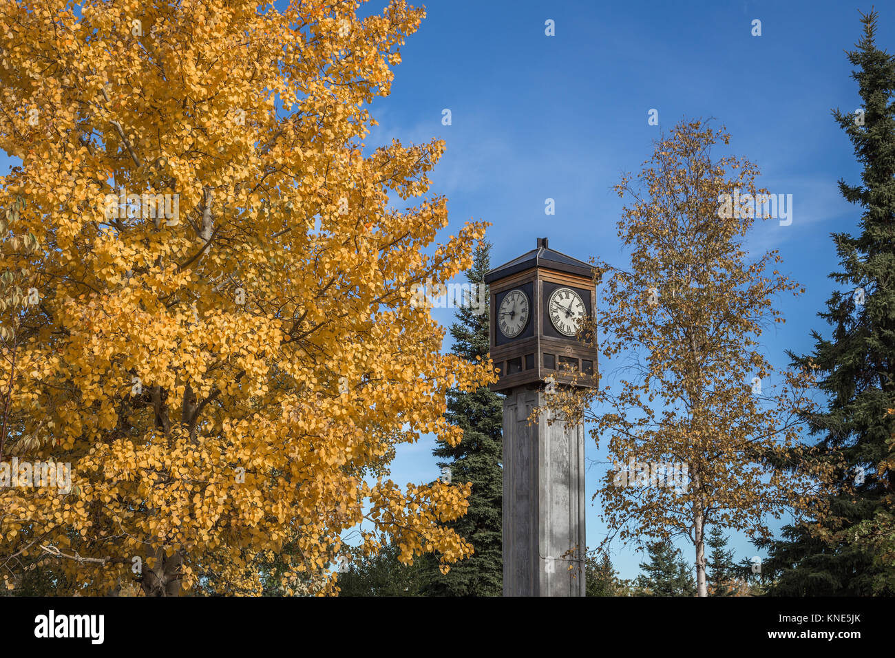 Fairbanks Rotary cinquantesimo anniversario orologio a carillon e nel cuore d'Oro Plaza a Fairbanks, Alaska, Stati Uniti d'America presi in autunno (autunno) Foto Stock