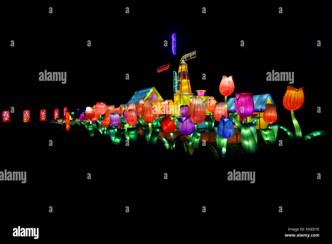 Mulino a vento olandese e tulip lanterne cinesi al Festival della Lanterna Foto Stock