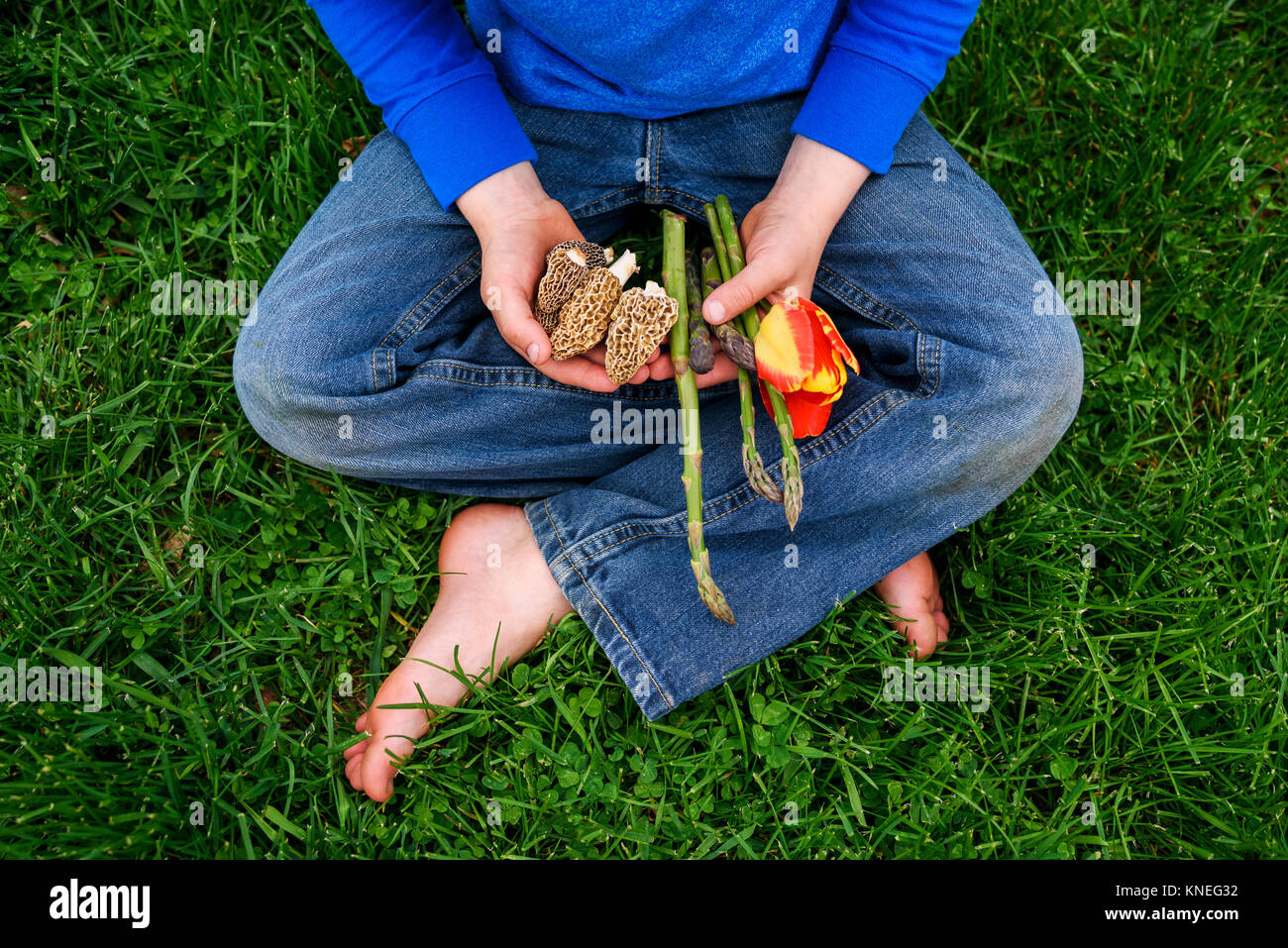 Ragazzo seduto sull'erba azienda ortaggi freschi Foto Stock