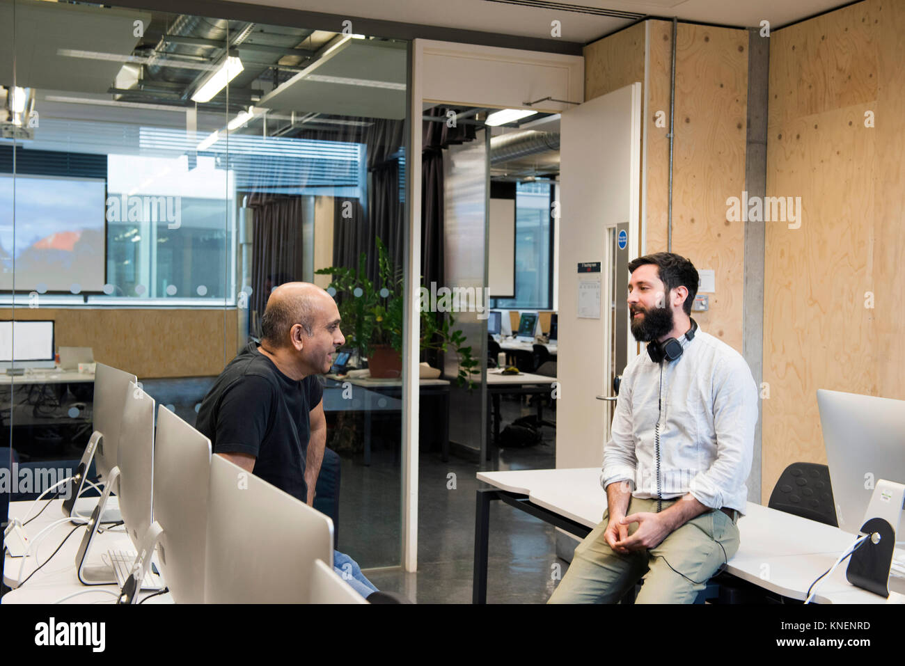 I colleghi chiacchierando in una sala computer Foto Stock