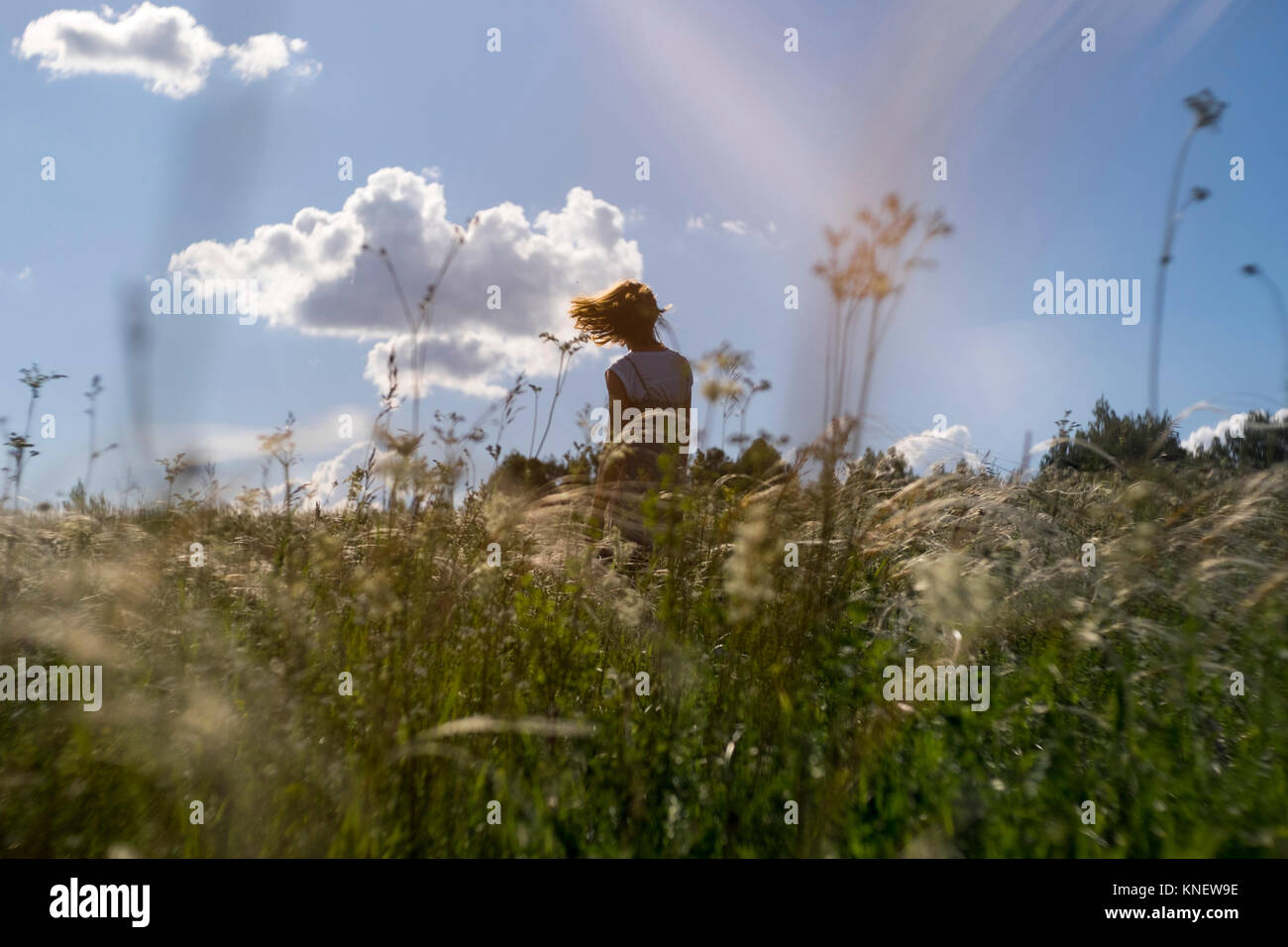 Donna in piedi nel campo, guardando a vista, capelli soffiando nel vento, vista posteriore, Ural, Chelyabinsk, Russia, Europa Foto Stock
