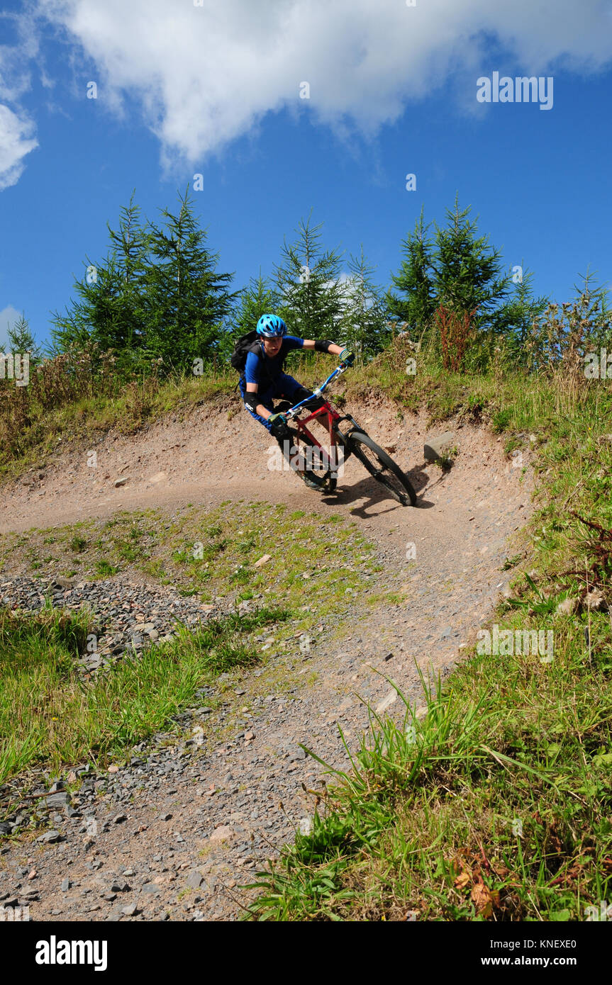 Un mountain biker affronta un ripidamente inclinate corner (berm) su un sentiero in Mabie, uno dei 7 Stanes percorsi per mountain bike in Scozia Foto Stock