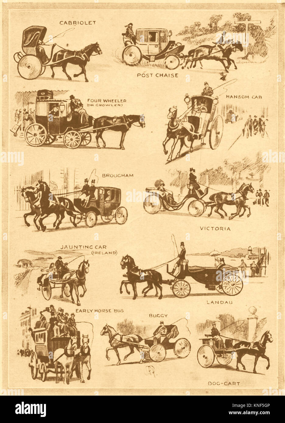 A cavallo il trasporto - un 1940's illustrazione che mostra vari tipi di a cavallo il trasporto in Epoca Vittoriana. Molti di quelli mostrati non sono più state per essere visto nel 1940 Foto Stock