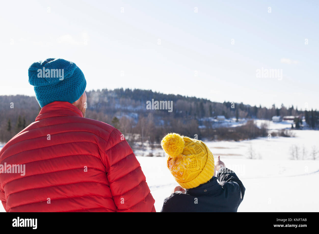 Vista posteriore dell'uomo e figlio guardando fuori e puntando su paesaggi innevati Foto Stock