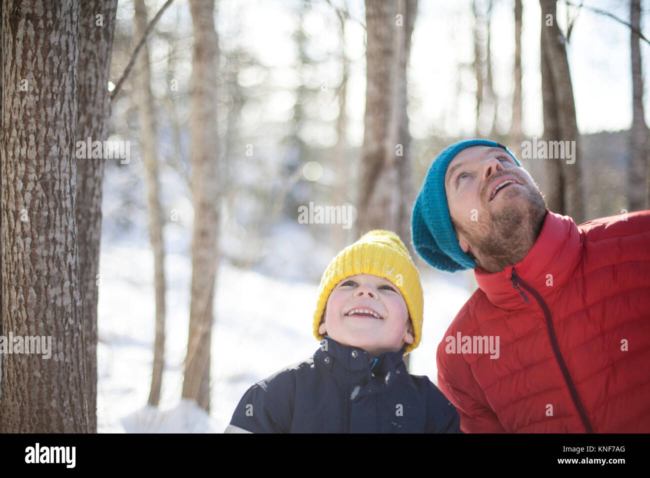 Uomo e figlio cercando da coperta di neve forest Foto Stock