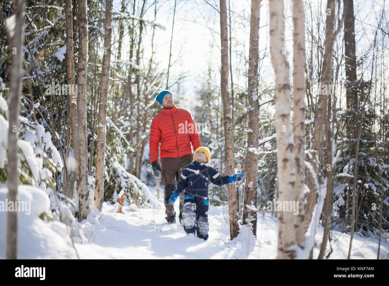 Uomo e figlio guardando verso l'alto mentre si cammina attraverso la coperta di neve forest Foto Stock