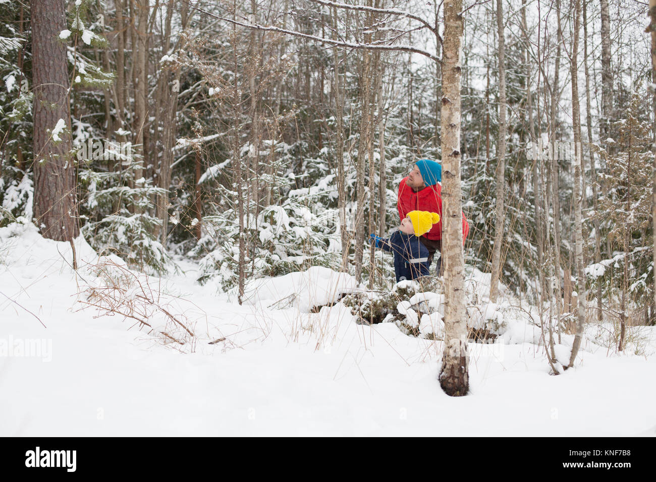 Uomo e figlio cercando da coperta di neve forest Foto Stock