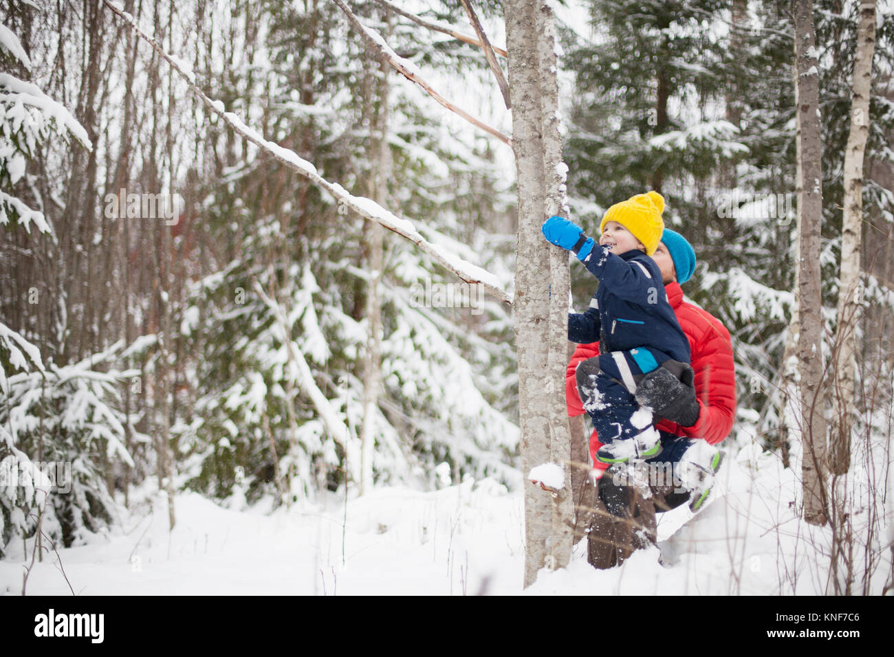 L'uomo aiutando figlio salire di albero in coperta di neve forest Foto Stock