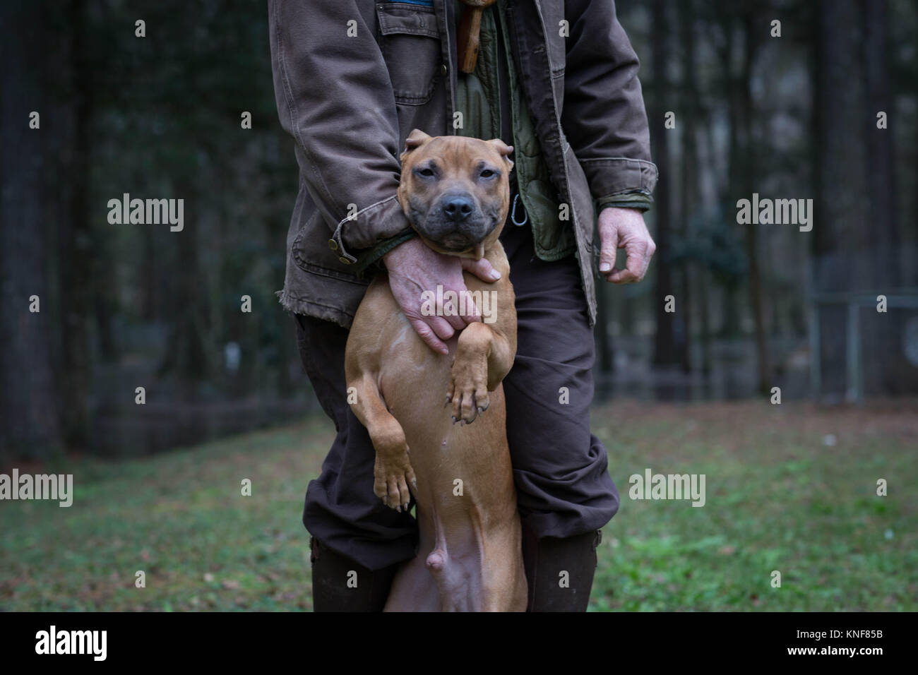 Uomo e cane in piedi sulle zampe posteriori Foto Stock