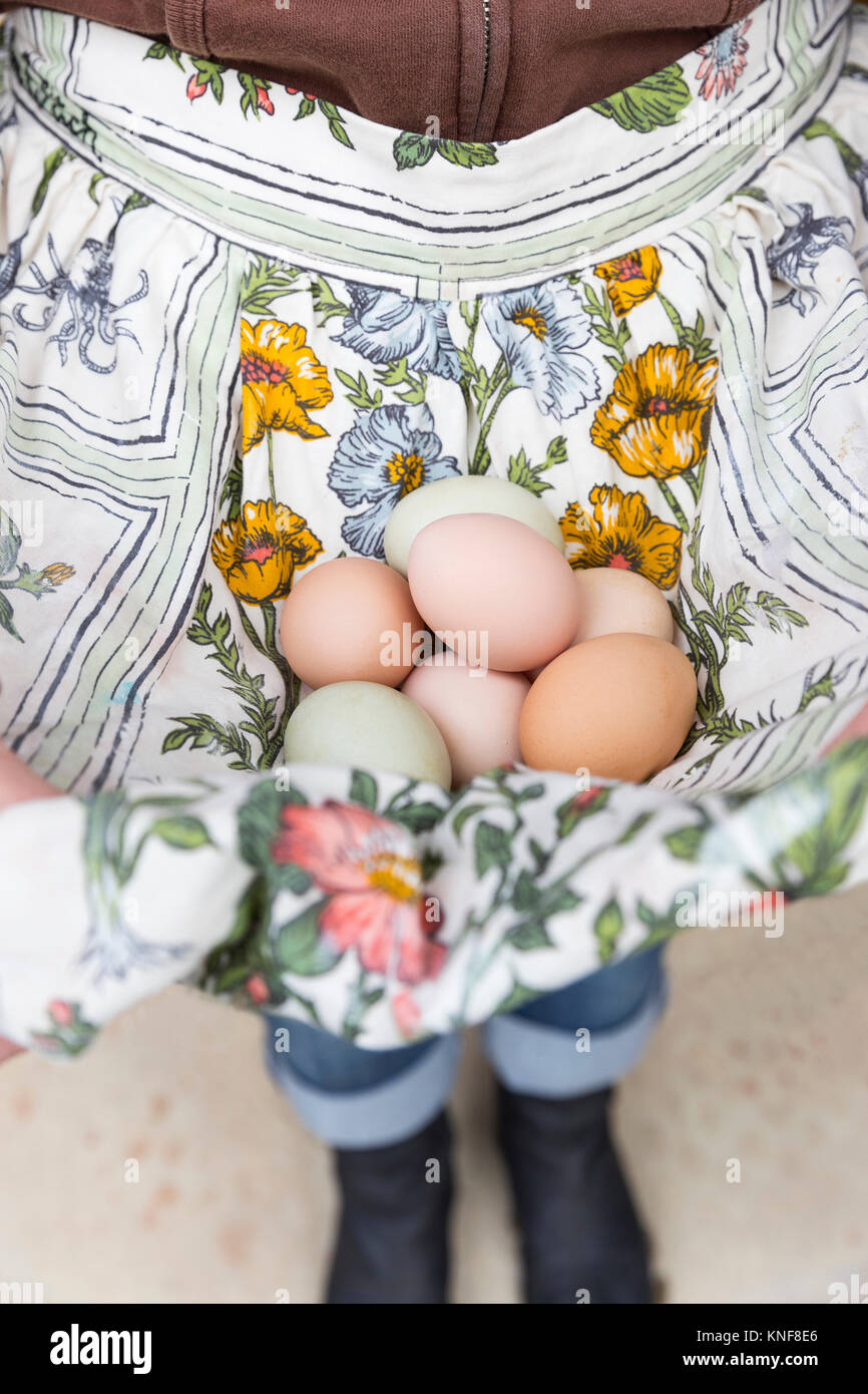 Donna raccolta delle uova nel grembiule Foto Stock