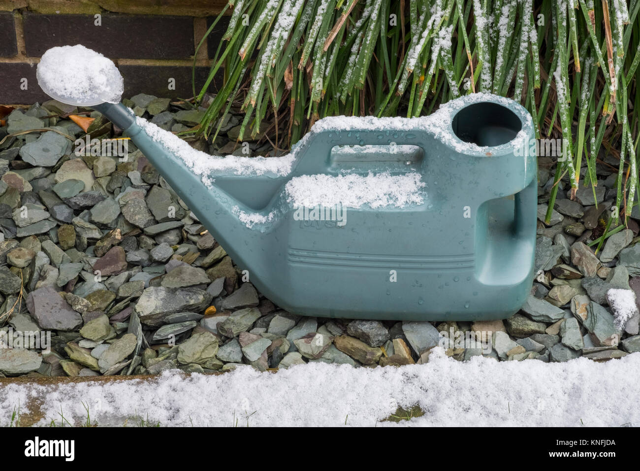 Giardino annaffiatoio con polvere di neve durante l'inverno, Dicembre, England Regno Unito Foto Stock