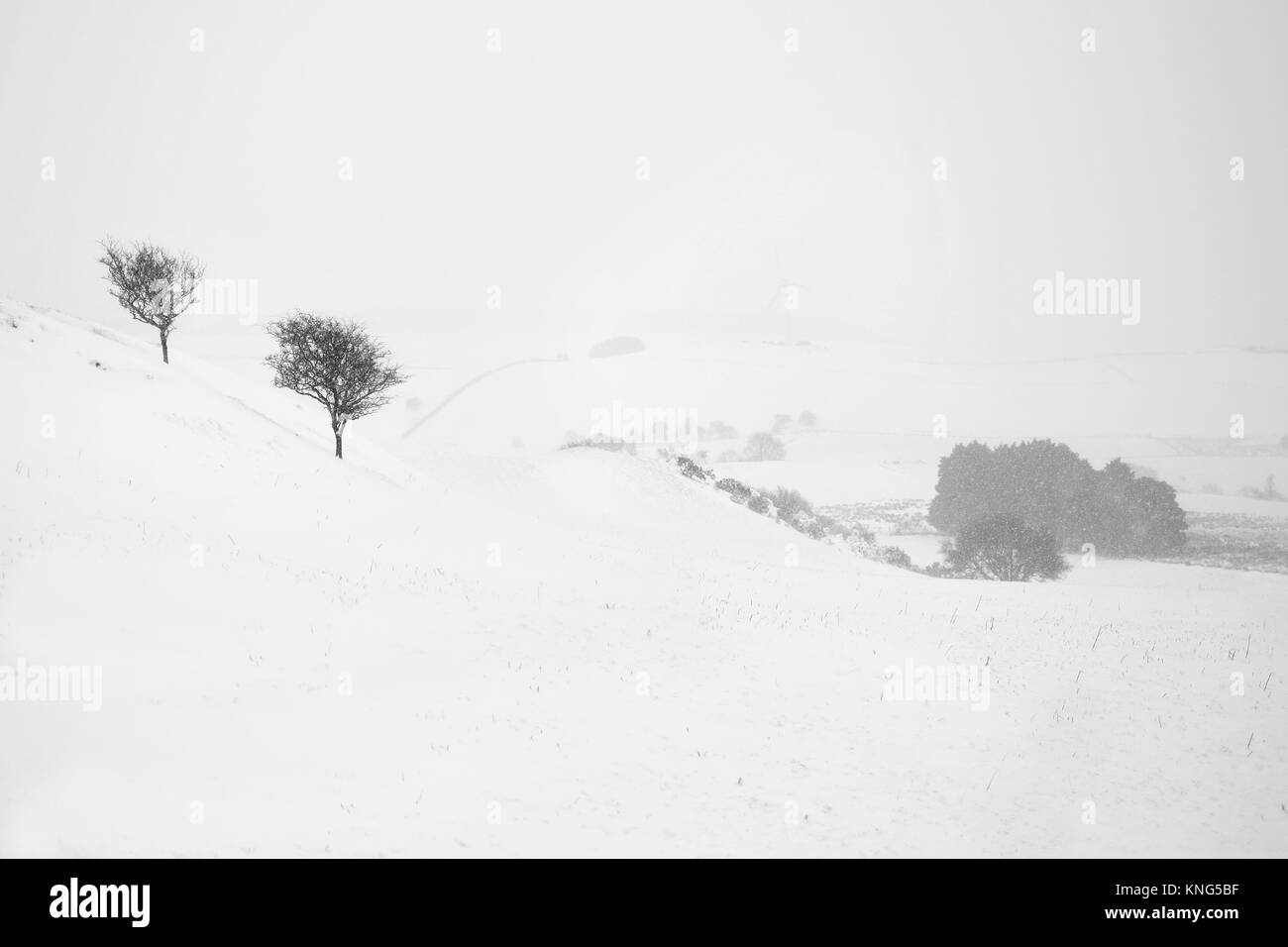 Il freddo Wintery vista con neve, alberi e colline Foto Stock