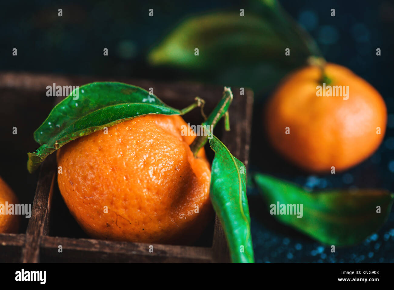Close-up di mandarini in una cassa di legno su uno sfondo scuro. Gocce di acqua su una superficie. Dark fotografia alimentare con vibrante frutta di arancia e spazio di copia Foto Stock