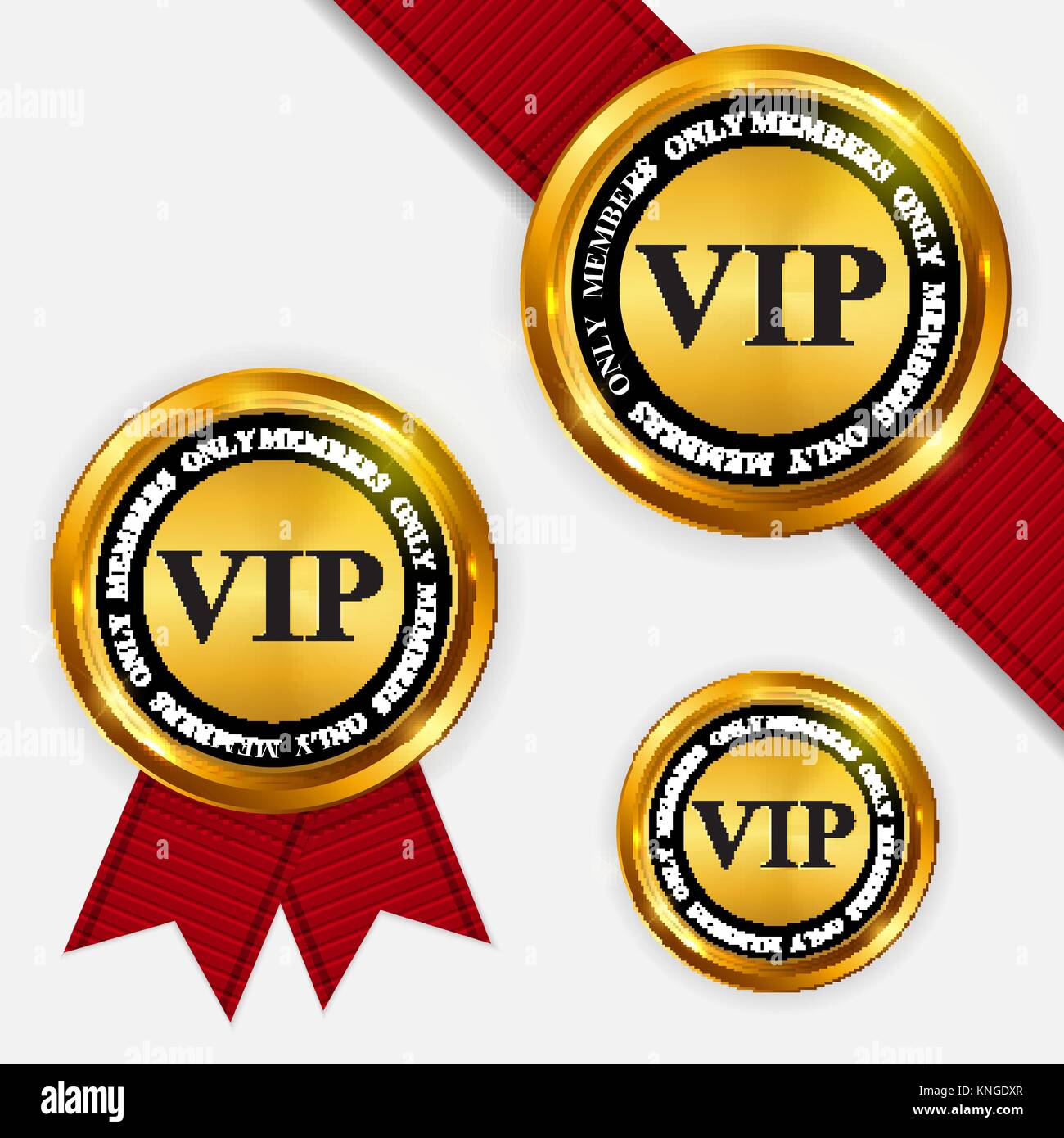 Vettore i membri VIP Oro solo segno, il modello di etichetta Illustrazione Vettoriale