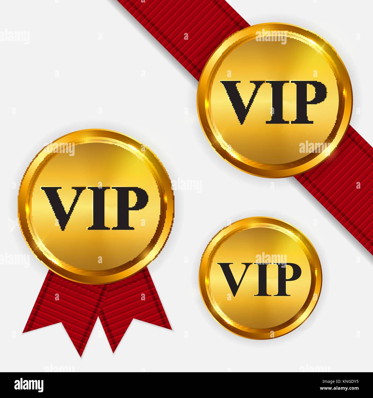 Vettore i membri VIP Oro solo segno, il modello di etichetta Illustrazione Vettoriale