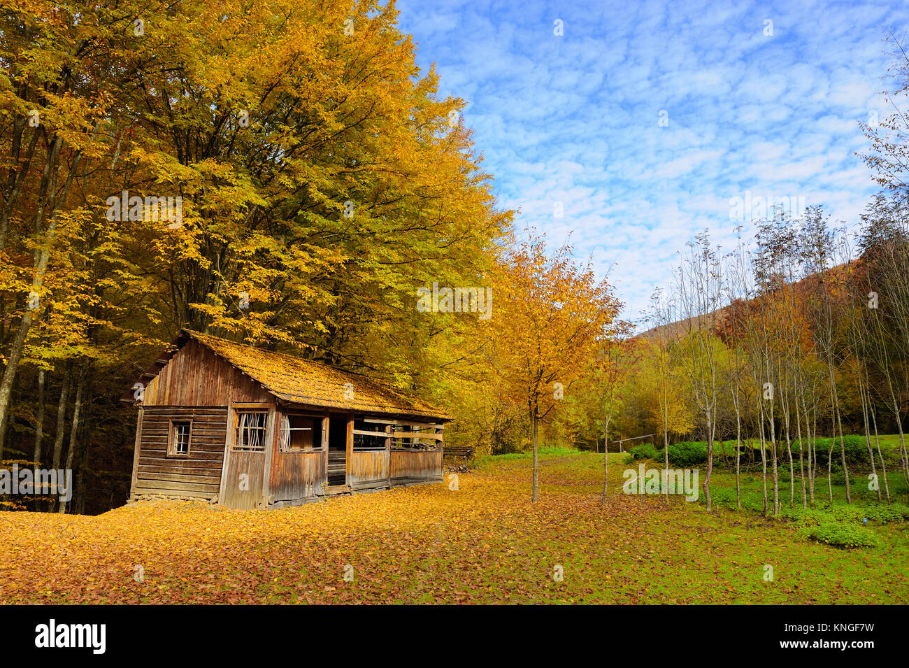 Bella log cabin durante la caduta stagione di punta in montagna Foto Stock
