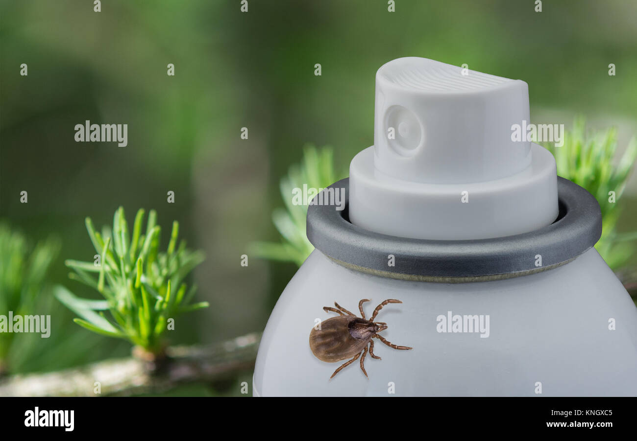 Tick e spray sfocate su sfondo verde. Dettaglio del pericoloso parassita. Concetto di repellente, disinfezione, il trattamento. Foto Stock