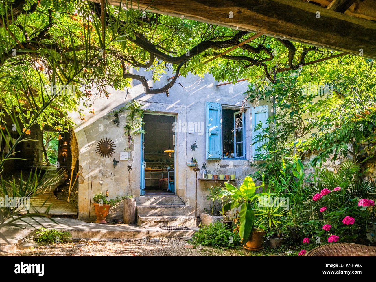 Francia, regione Occitanie, Gard reparto, Durfort-et-saint-martin-de-Sossenac, La Vieille Maison, una vecchia fattoria a Valensole Foto Stock