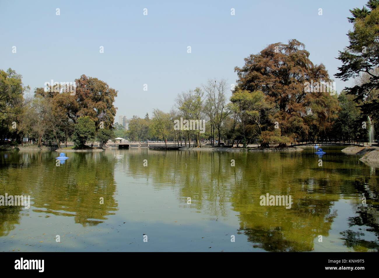 Bosque de Chapultepec, Lago Menor. Città del Messico. Foto Stock