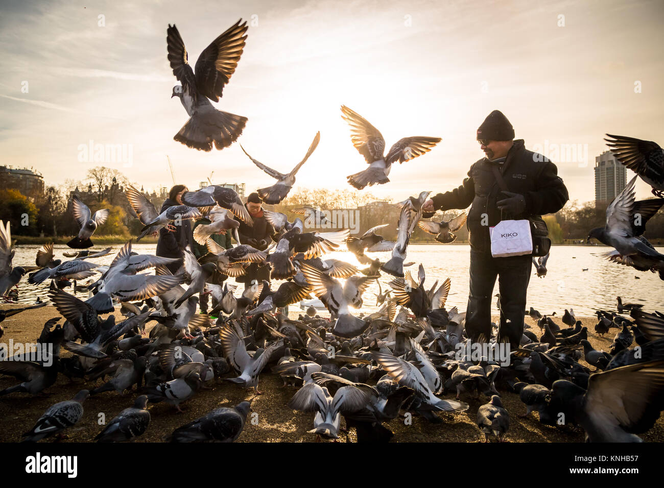 Londra, Regno Unito. Il 9 dicembre, 2017. Regno Unito: Meteo piccioni viaggiatori e turisti nei pressi del lago a serpentina in Hyde Park in serata sun. Credito: Guy Corbishley Foto Stock