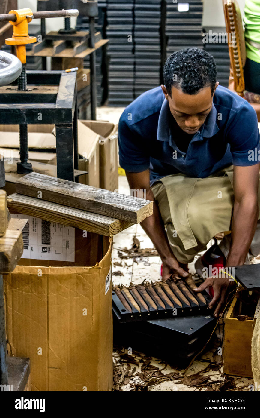 Un pack di man mano i sigari di laminati in un vassoio a sigaro Graycliff Azienda in Nassau Bahamas, dove aficionados del sigaro possono godere di un giro dietro le quinte. Foto Stock