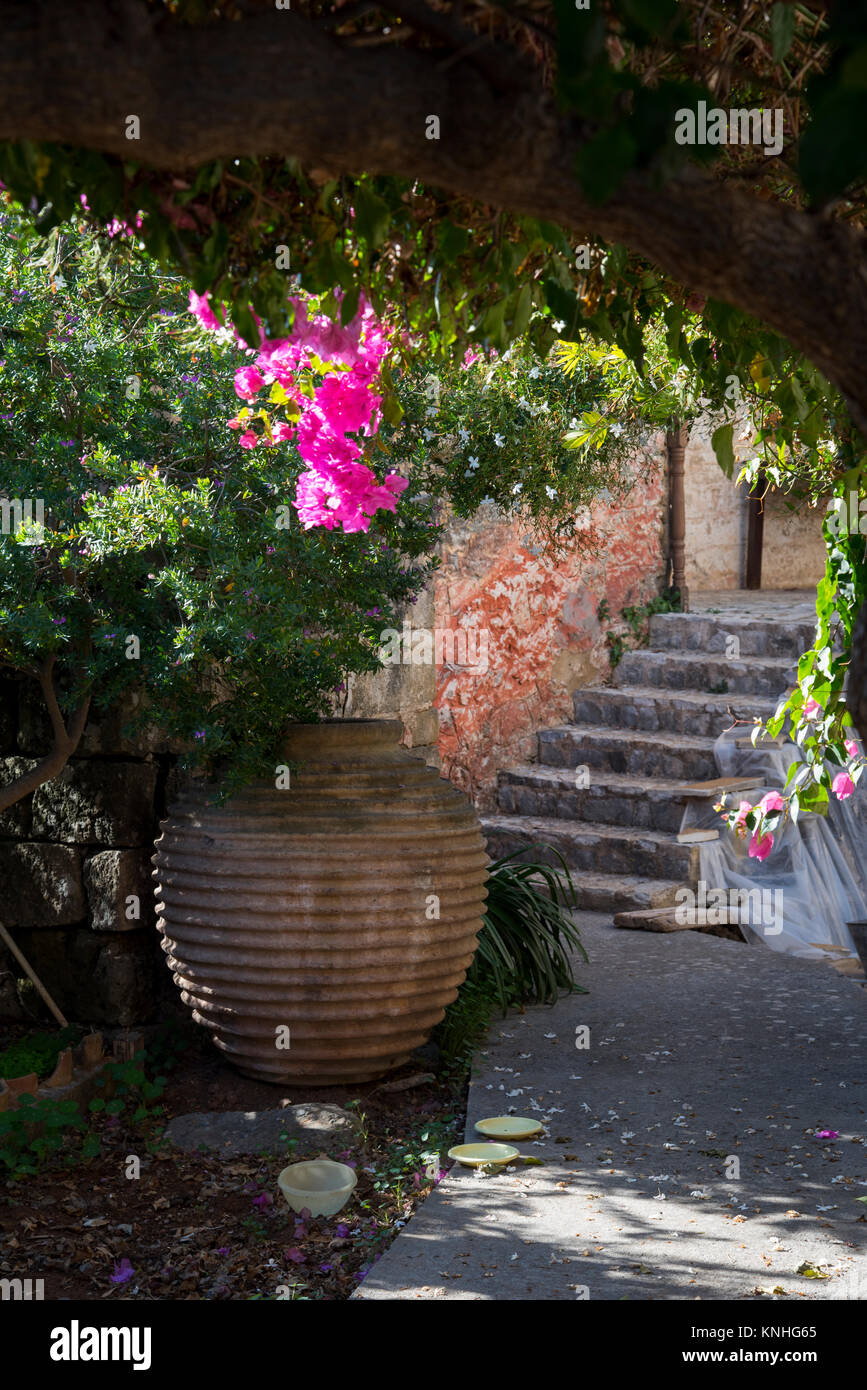 Fiori di colore rosa in un vecchio giardino greco Foto Stock