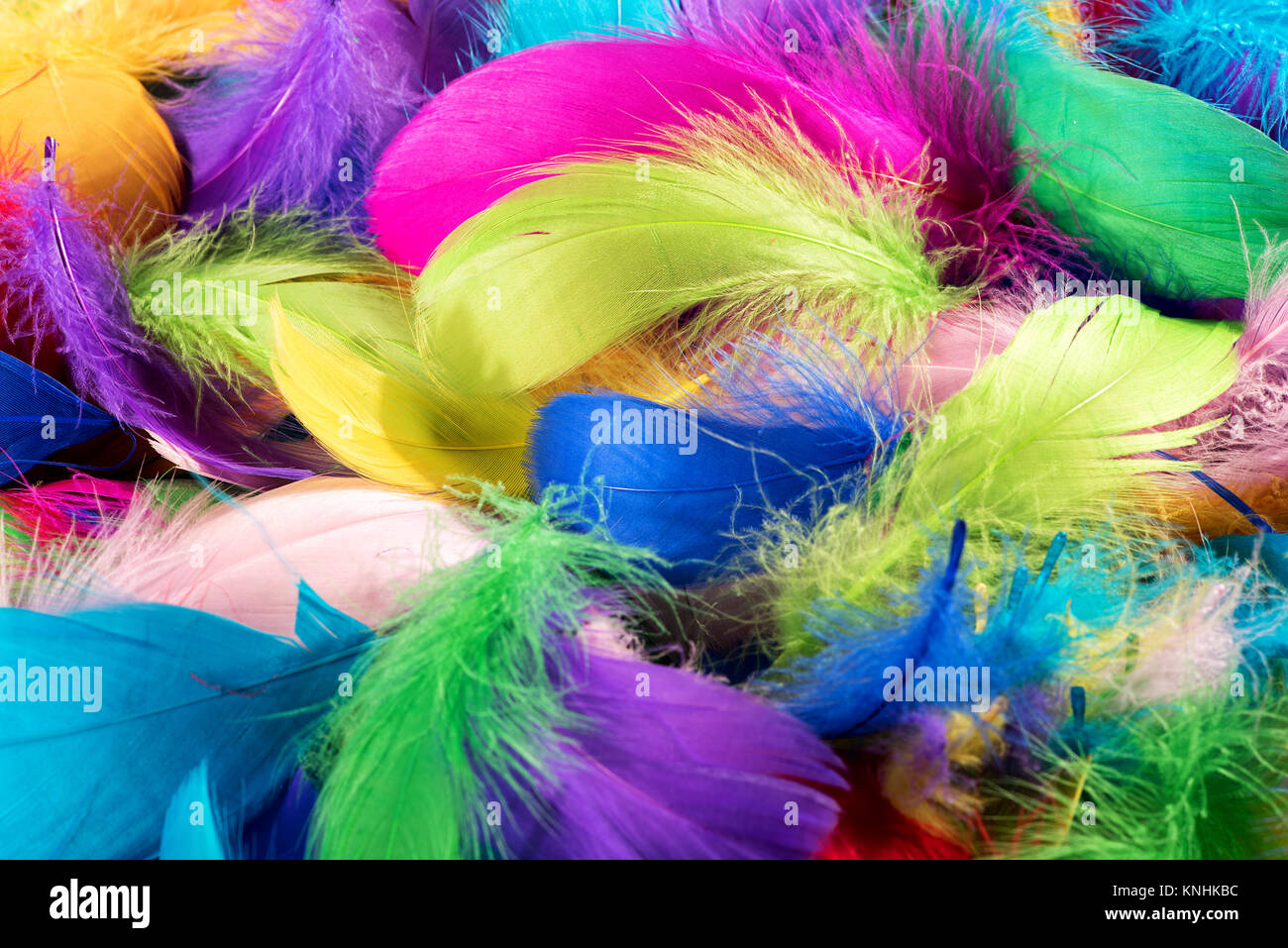 Texture di sfondo di morbidi tinte colorate piume di uccello in luminosi colori dell'arcobaleno in un vicino in piena vista del telaio Foto Stock